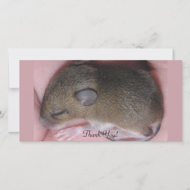 Kleine Baby-Maus mit niedlichem Ohr-Schlaf oben Dankeskarte (Vorderseite)