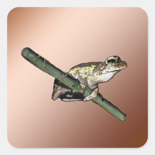 Kleine Baum Frosch Ölfarbe, Aufkleber (Vorderseite)