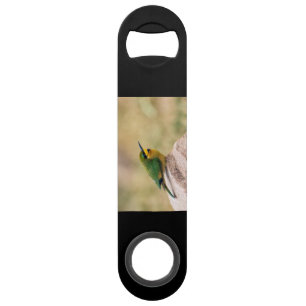 Kleine Bienenfresser Speed Flaschenöffner