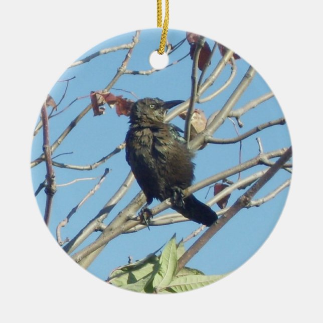 Kleine Birdie in einem Baumdenkmal Keramik Ornament (Vorne)