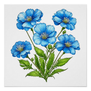 Kleine Blaue Blumen Poster
