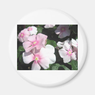 Kleine Blume Magnet