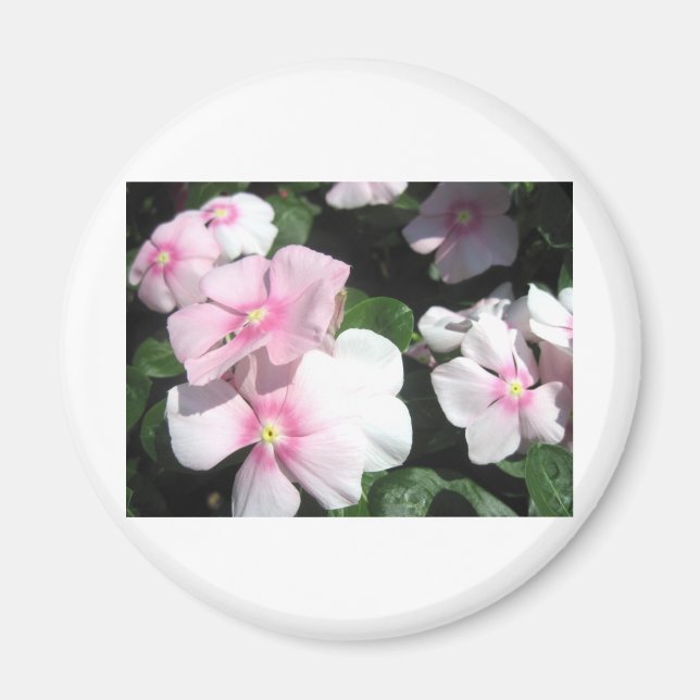 Kleine Blume Magnet (Vorne)