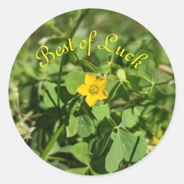 Kleine Blume Runder Aufkleber (Vorderseite)