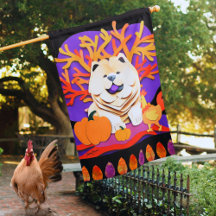 KLEINE BOO Creme Chow