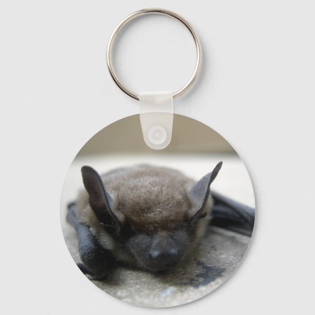 Kleine braune Fledermaus (Myotis lucifugus) Schlüsselanhänger (Vorderseite)