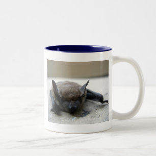 Kleine Braunfledermaus (Myotis lucifugus) Zweifarbige Tasse