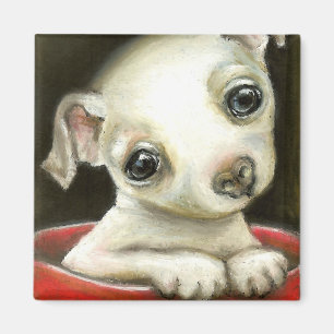 Kleine Chihuahua Magnet