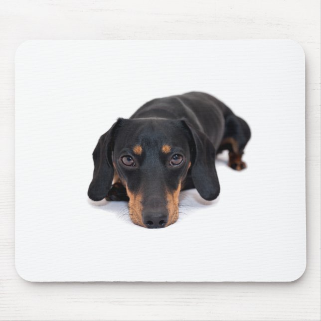 Kleine Dackel Mousepad (Vorne)