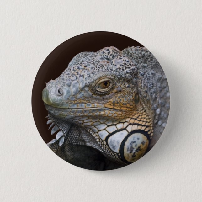 Kleine Drachen-Tasche Button (Vorderseite)