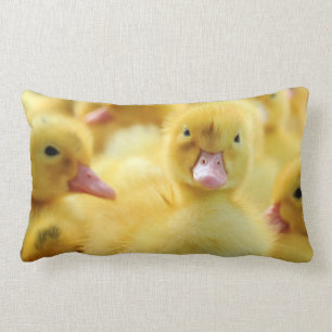 Kleine Enten Lendenkissen