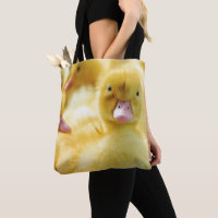 Kleine Enten