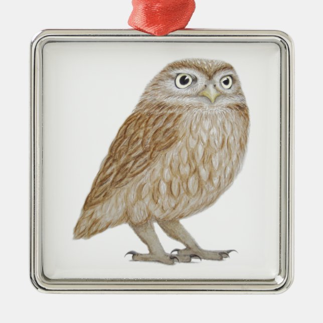 Kleine Eule 2011 Ornament Aus Metall (Vorne)