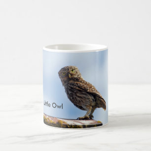 Kleine Eule Kaffeetasse