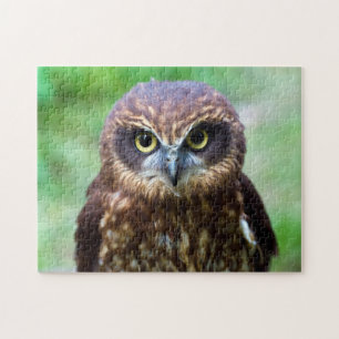 Kleine Eulen-Puzzle