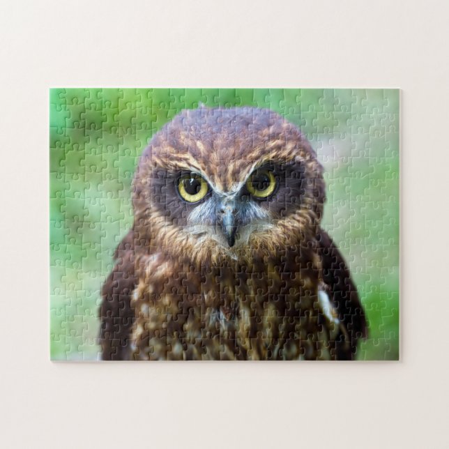 Kleine Eulen-Puzzle (Horizontal)