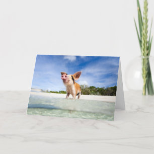 Kleine Ferkel Karte