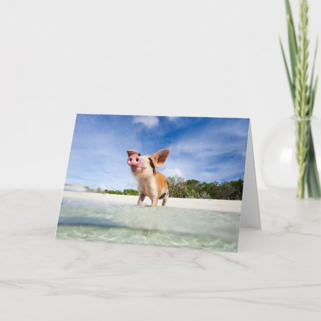 Kleine Ferkel Karte (Vorderseite)