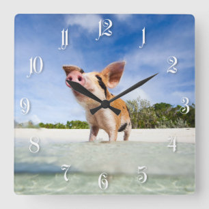 Kleine Ferkel Quadratische Wanduhr
