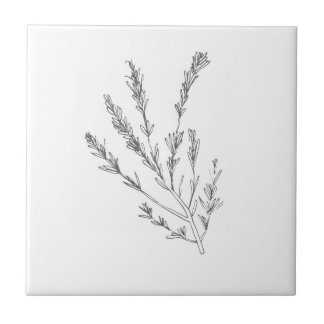Kleine Fliese Rosemary-Krauts