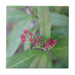 Kleine Frühlings-Blüte Fliese