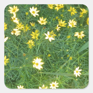 Kleine gelbe Blumen mit dem Grün Quadratischer Aufkleber