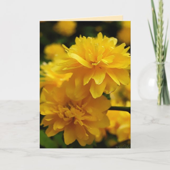 Kleine gelbe Blumenkarte Karte (Vorderseite)