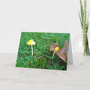 Kleine gelbe Pilze Karte