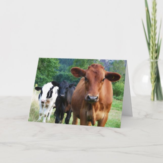 Kleine Herde von drei Kühen Karte (Vorderseite)
