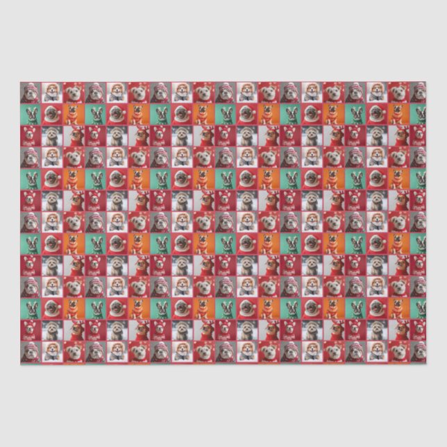 Kleine Hunde in Sweaters Wrapping Paper Roll Seidenpapier (Vorderseite)