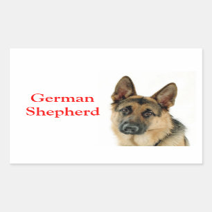Kleine Hundekleber / Etiketten Rechteckiger Aufkleber
