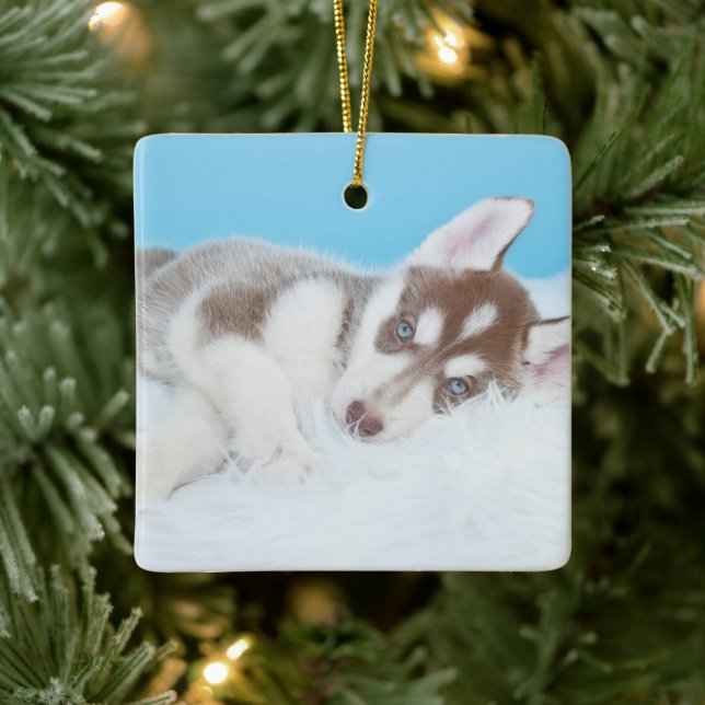 Kleine Husky-Welpe, die auf der Decke spielt Keramikornament (Baum)