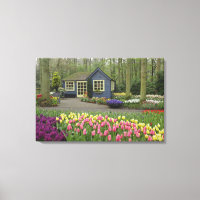 Kleine Hütte Blume, Keukenhof Gardens,