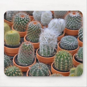 Kleine Kakteen-Pflanze Mousepad