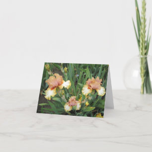 Kleine Karte mit drei Peach