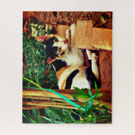 Kleine Katze