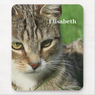kleine Katze auf einer grünen Frühlingswiese Mousepad