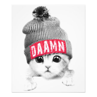 Kleine Katze Fotodruck
