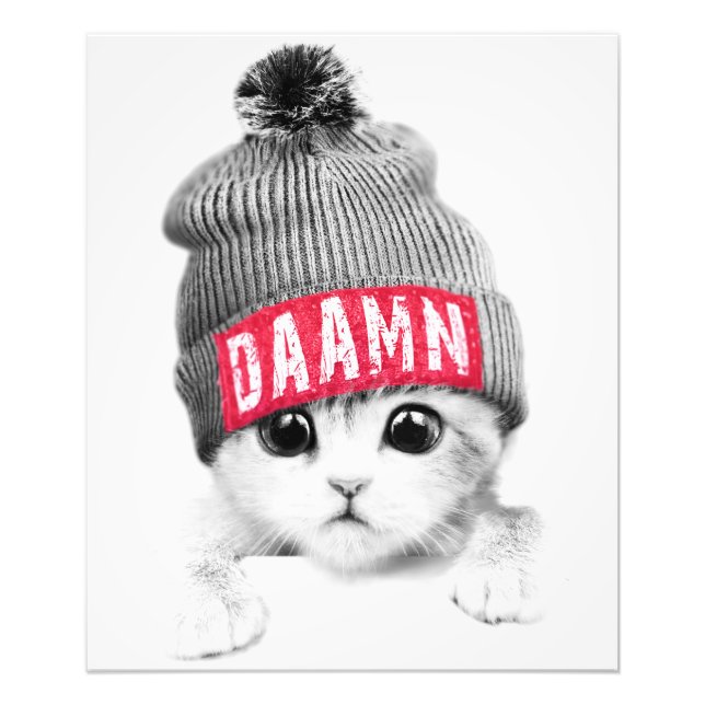 Kleine Katze Fotodruck (Vorne)