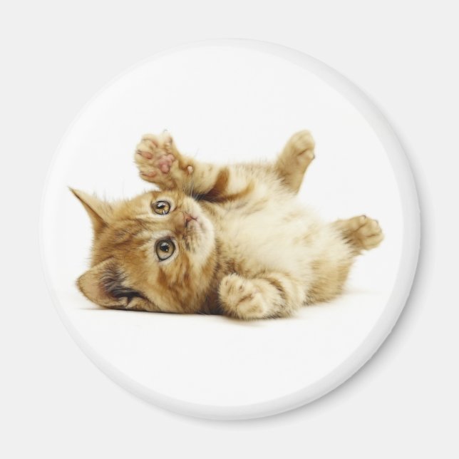 KLEINE KATZE MAGNET (Vorne)