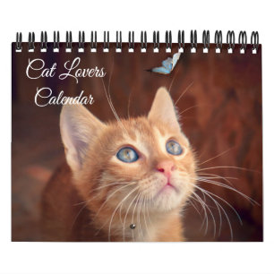 Kleine Katzenliebhaber-Kalender Kalender