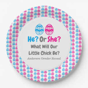 Kleine Kick Gender Reveal Pappteller