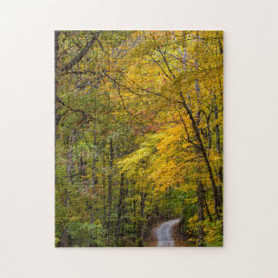 Kleine Kiesstraße gesäumt von Herbstfarben