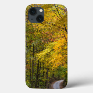Kleine Kiesstraße gesäumt von Herbstfarben title_seo2
