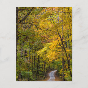 Kleine Kiesstraße gesäumt von Herbstfarben Postkarte