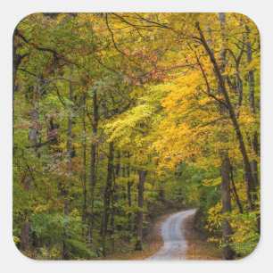 Kleine Kiesstraße gesäumt von Herbstfarben Quadratischer Aufkleber