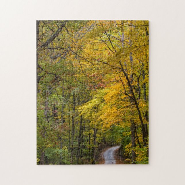 Kleine Kiesstrasse mit Herbstfarbe (Vertikal)