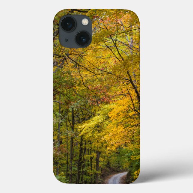 Kleine Kiesstrasse mit Herbstfarbe Case-Mate iPhone Hülle (Rückseite)