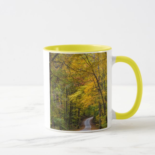 Kleine Kiesstrasse mit Herbstfarbe Tasse (Rechts)