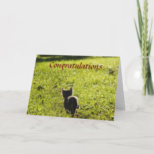 Kleine Kitten Mehrzweckkarte Karte